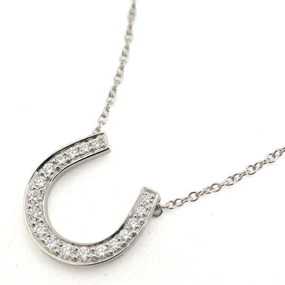 TIFFANY & CO. Platinum Diamond Necklace - Picture 1 of 9